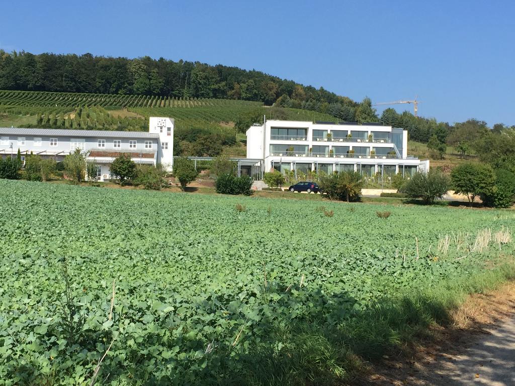 Heitlinger Hof Hotel Tiefenbach  Екстериор снимка